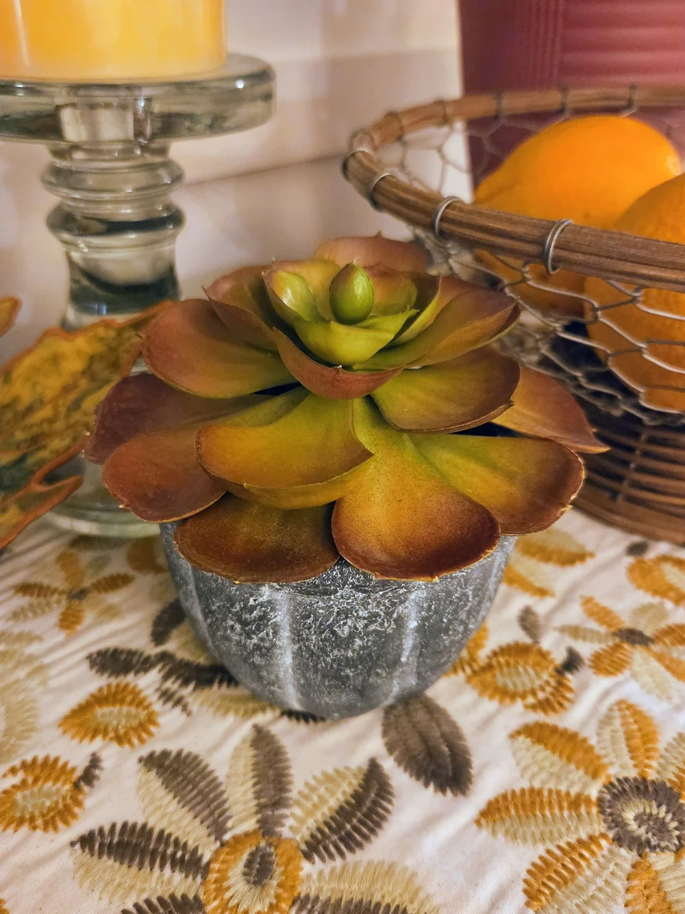 Crate&Barrel Faux Succulent in Distressed Gray Pot - Fall Plant Decor